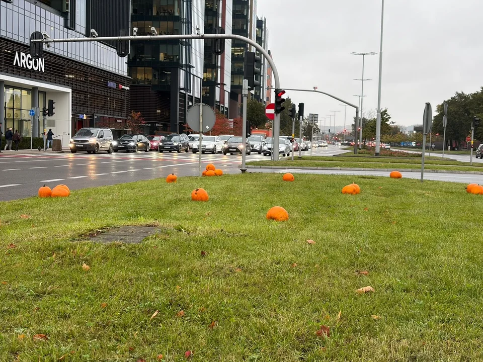 Sprawdziliśmy, ile Gdańsk wydał na jesienne dekoracje
